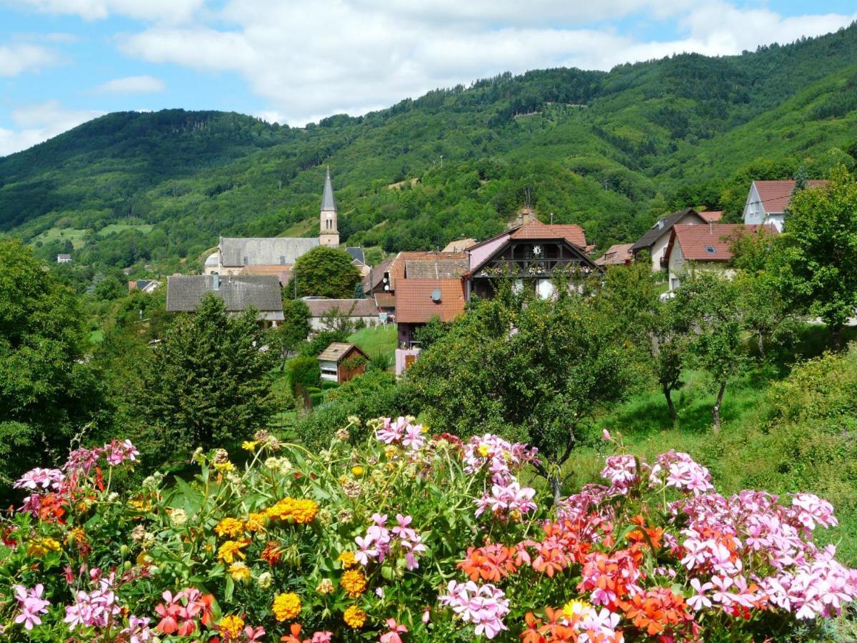 Appartement Bethanie Steige Dış mekan fotoğraf
